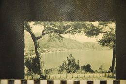 CP, 06, N°72,  MENTON - Vue Générale Prise Du Cap Martin - Menton