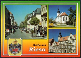 D0217 - TOP Riesa - Bild Und Heimat Reichenbach - Riesa