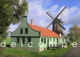 ASSENDELFT - Zaanstad (N.H.) - Molen/moulin - Mooie Nieuwe Kaart Van De Unieke Hennepklopper "De Paauw" In Werking - Zaanstreek