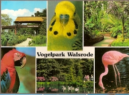 Germany & Circulated, Vogelpark Walsrode Mehr Als Vogel, Briefzentrum 29 To Markersdorf 2004 (9674) - Walsrode