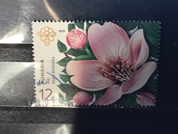 Roemenië / Romania - Flora In Roemenië (12) 2019 - Used Stamps