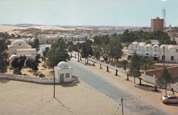CP Algérie El Oued Ville Aux Milles Coupoles - El-Oued