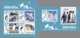 SIERRA LEONE 2019 MNH Antarctica Animals Tiere Der Antarktis Animaux De Antarctique M/S+S/S - OFFICIAL ISSUE - DH1948 - Faune Antarctique