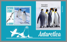 SIERRA LEONE 2019 MNH Antarctica Animals Tiere Der Antarktis Animaux De Antarctique S/S - IMPERFORATED - DH1948 - Faune Antarctique