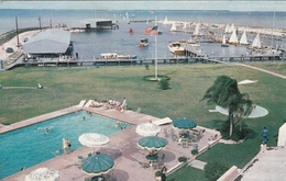 Houston TX - Yacht Club Postcard 1960 - Houston