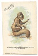CHOCOLAT LOUIT Carte Illustrée Singe SAKI Bassins De L'Orenoque Et De L'Amazone - Singes