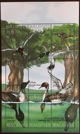 Maldives 1995 Birds Ducks Sheetlet MNH - Andere & Zonder Classificatie