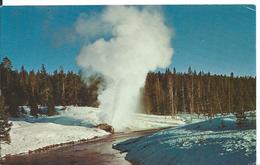 YELLOWSTONE NATIONAL PARK    ( ETATS-UNIS  )   A WINTERTIME VIEW OF RIVERSIDE GEYSER - Otros & Sin Clasificación