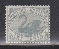 WESTERN AUSTRALIA Scott # 63 Mint NO GUM - Swan - CV $37.50 - Neufs