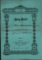 Dokument Adel , 8 Seitiger Steigbrief , Peter Charrois In Waldmohr B. Kusel 1879 !!! - Kusel