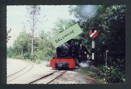 Schinznach - Locomotive à Vapeur 031 à Tender Séparé - Schinznach 