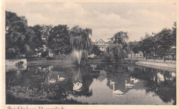 Bad Salzelmen - Schwanenteich - Schönebeck (Elbe)