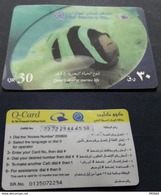 Qatar Phone Card / USED - Qatar