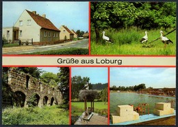 D0313 - TOP Loburg - Bild Und Heimat Reichenbach - Zerbst