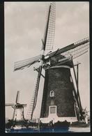 FOTOKAART  ZOUTELANDE  MOLEN - Zoutelande