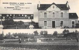 Poitiers         86        Grandes Pépinières De Vignes Du Poitou. Magnon      (voir Scan) - Poitiers