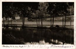 CPA AK Altensteig An Der Oberen Nagold GERMANY (936761) - Altensteig