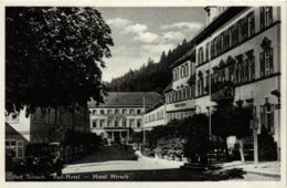 CPA AK Bad Teinach Hotel Hirsch GERMANY (937014) - Bad Teinach