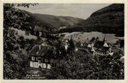 CPA AK Bad Teinach GERMANY (937030) - Bad Teinach