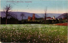 CPA AK Bad Teinach Ruine Zavelstein GERMANY (937034) - Bad Teinach