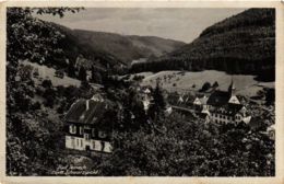 CPA AK Bad Teinach GERMANY (937039) - Bad Teinach