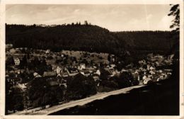 CPA AK Bad Teinach Mit Zavelstein GERMANY (937046) - Bad Teinach