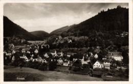 CPA AK Bad Teinach Vue Generale GERMANY (937047) - Bad Teinach