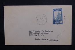 NIGER - Enveloppe De Niamey Pour Les Etats Unis , Affranchissement Plaisant - L 49363 - Storia Postale