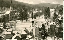 Schlangenbad Im Winter  (007837) - Schlangenbad