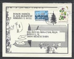 Hungary,  Home Made Christmas Cover, 1991. - Covers & Documents