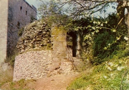 CP De BEAUMONT " La Poterne Et La Tour Salamande " - Thuin