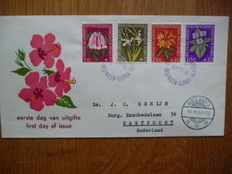 (2) NEDERLANDS NIEUW GUINEA FDC 1959 FLOWERS. - Netherlands New Guinea