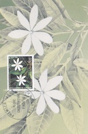 NOUVELLE CALEDONIE   : Carte Maximum " Flore Calédonienne " Oblitération De Nouméa  De 1990 - Tarjetas – Máxima