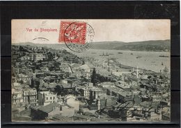 LCTN59/LE/5 - LEVANT MOUCHON 10c SUR CPA CONSTANTINOPLE / PARIS 26/6/1904 - Briefe U. Dokumente