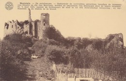 Montaigle, De Puinhopen, Les Ruines (pk65578) - Onhaye