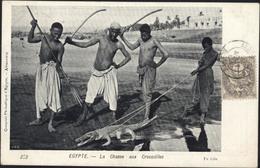 YT Blanc Alexandrie 107 CAD Alexandrie Egypte 4 Août 1904 Bureau Français à L'étranger CP Egypte La Chasse Au Crocodiles - Usati