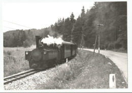 Autriche Austria Train Près De Gosselsdorf 1964 , Cpm Repro - Other & Unclassified