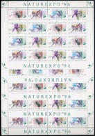 ** 1996 NATUREXPO 5 Db Teljes ív (12.500) - Other & Unclassified