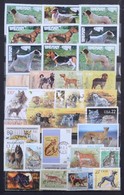 O Kutya, Macska Gyűjtemény: 600 Db Bélyeg Közepes Berakóban - Other & Unclassified