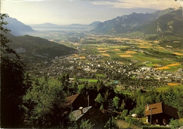 CP De MONTHEY " La Plaine Du Rhône Et Le Lac Léman " - Monthey