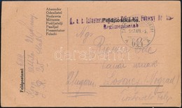 1917 Tábori Posta Levelezőlap 'K.u.k. Infanterieregiment Edler Von Pokorny Nr.25.' + 'TP 644 A' - Andere & Zonder Classificatie