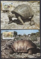 1987 WWF: Teknősök Sor 4 Db CM-en Mi 137-140 - Sonstige & Ohne Zuordnung