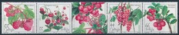 ** 2011 Bogyós Növények ötöscsík Szelvénnyel,
Berries Stripe Of 5 With Tab
Mi 410-413 - Andere & Zonder Classificatie