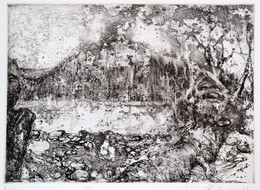 Iréne Radó Vajda (1952-): The River. Rézkarc, Papír, Jelzett, 19×26,5 Cm - Autres & Non Classés