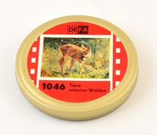 DEFA 1046 Tiere Unseres Waldes Dokumentumfilm-tekercs, Fém Dobozban - Other & Unclassified