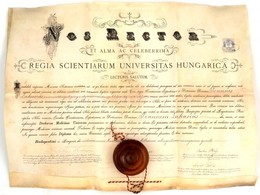 1894 Dekoratív Pergamen Orvosi Diploma, Teljesen ép Függő Viaszpecséttel, Rajta Fodor József, Plósz Pál, Högyes András H - Non Classés