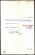 1917 Bp., Nemzeti Egyesült Textilművek által Kiállított Igazolás Katonai Fuvarozásról - Ohne Zuordnung
