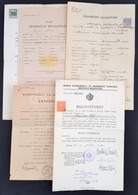 1918-1950 5 Db Bizonyítvány - Zonder Classificatie