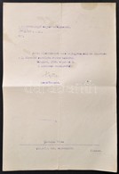 1919 A Közoktatásügyi Népbiztosság Kinevezése Tanítóvá - Unclassified