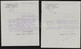1929 Erődi-Harrach Tihamér (1885-1947) Országgyűlési Képviselő, Kormányfőtanácsos 4 Db Levele Visszahonosítási ügyben, M - Other & Unclassified